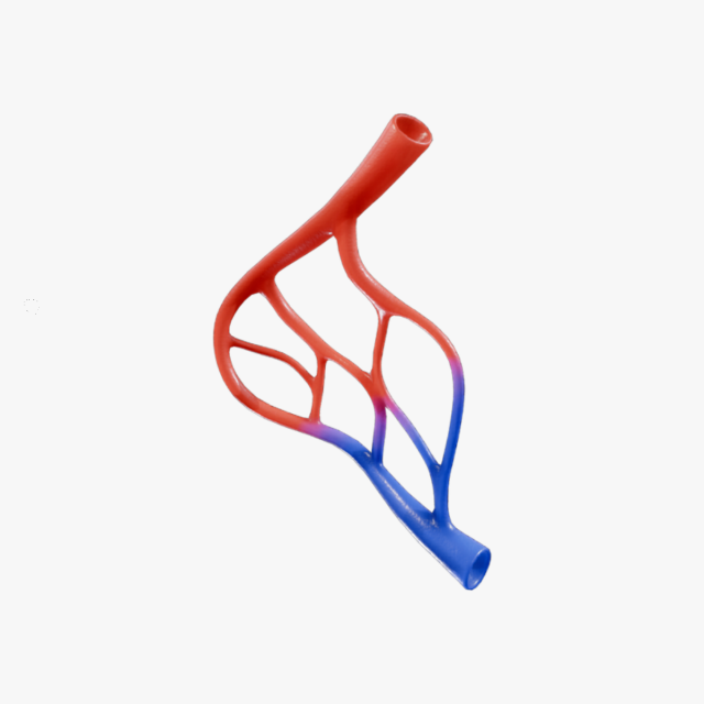 Blood Vessel Anatomy 3D Model .c4d .max .obj .3ds .fbx .stl .blend 