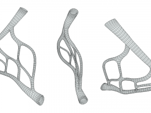 Blood Vessel Anatomy 3D Model