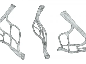 Blood Vessel Anatomy 3D Model