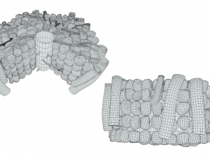 Hepatic Lobule Anatomy 3D Model