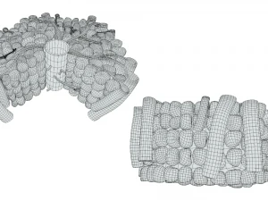 Hepatic Lobule Anatomy 3D Model