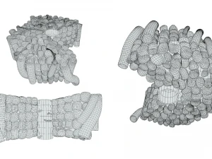 Hepatic Lobule Anatomy 3D Model