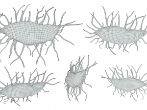 Osteocyte Bone Cell 3D Model