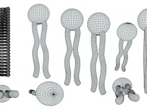 Phospholipid Structure 3D Модель