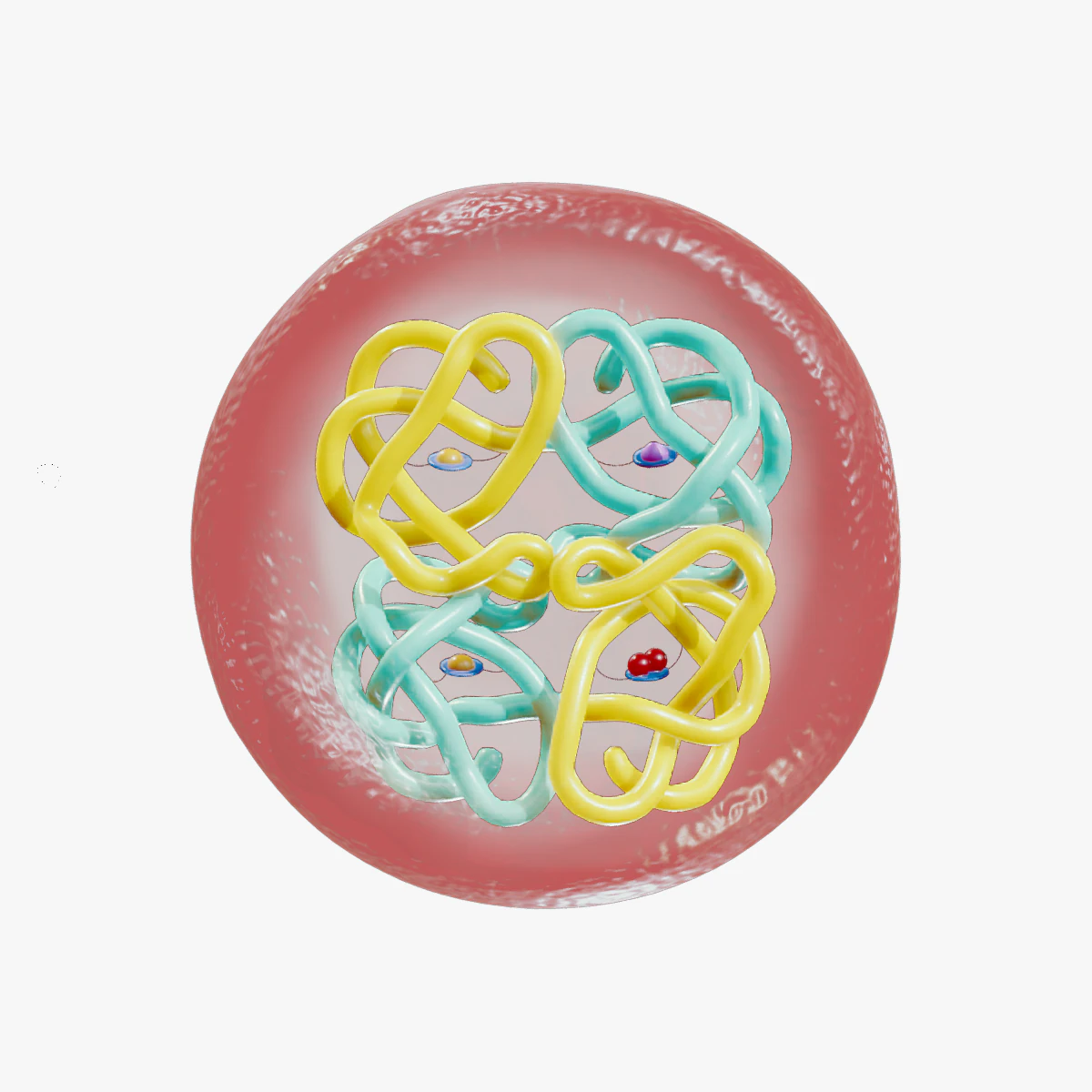 The Structure of Hemoglobin 3D Model .c4d .max .obj .3ds .fbx .stl .blend 