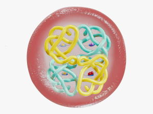 The Structure of Hemoglobin 3D 모델