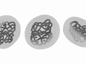The Structure of Hemoglobin Modèle 3D