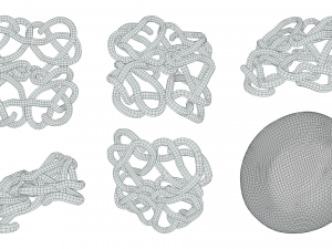 The Structure of Hemoglobin Modèle 3D