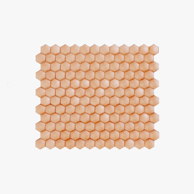 Human Skin Anatomy 3D Model .c4d .max .obj .3ds .fbx .stl .blend 