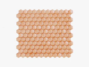 Anatomia della pelle umana Modello 3D