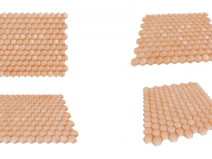 Human Skin Anatomy 3D Model