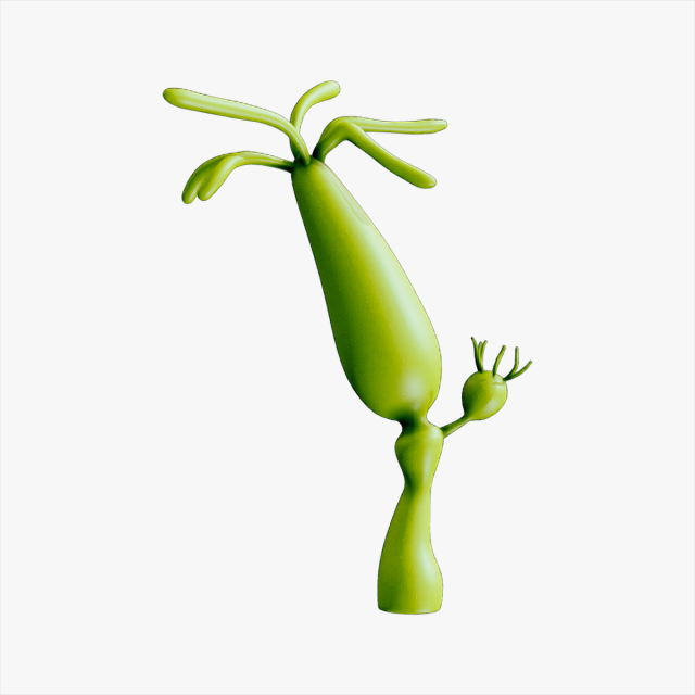 Hydra genus Modèle 3D .c4d .max .obj .3ds .fbx .stl .blend 