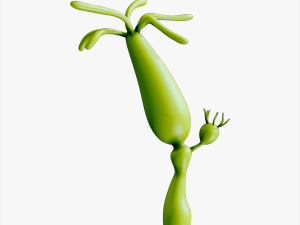 Hydra genus 3D 모델
