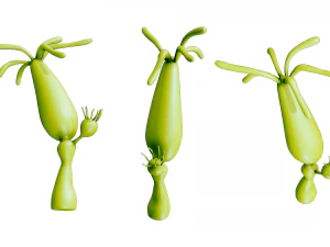 ヒドラ属 3Dモデル