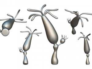 Hydra genus Modèle 3D