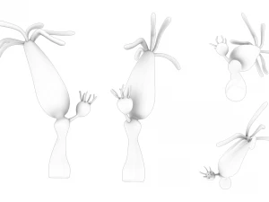 ヒドラ属 3Dモデル
