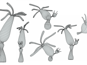 Hydra genus Modèle 3D