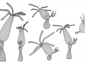 ヒドラ属 3Dモデル