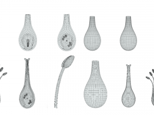 Parts of A Flower - Ovary Stages 3D Model