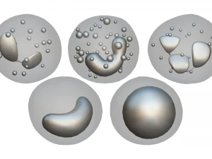 White Blood Cells 3D Model
