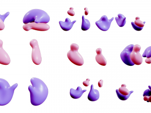 Ribosome Structure and Function 3D-Modell