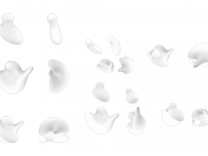 Ribosome Structure and Function 3D-Modell