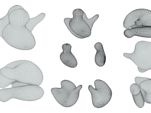 Ribosome Structure and Function 3D-Modell