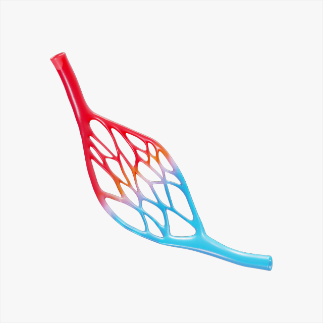 Blood Vessel Anatomy Modèle 3D .c4d .max .obj .3ds .fbx .stl .blend 