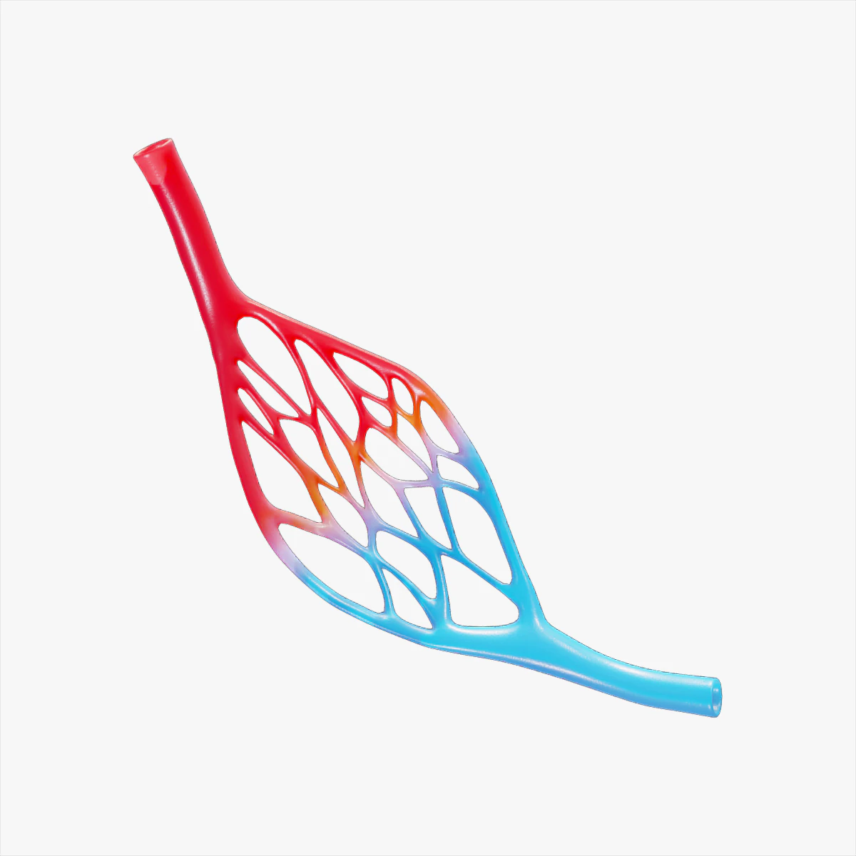Blood Vessel Anatomy 3D Model .c4d .max .obj .3ds .fbx .stl .blend 