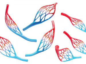 Blood Vessel Anatomy 3D Model