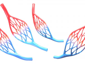 Blood Vessel Anatomy 3D Model