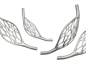 Blood Vessel Anatomy 3D Model