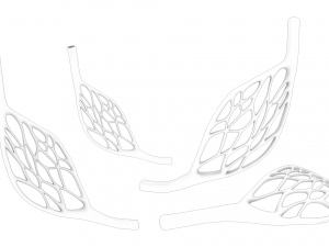 Blood Vessel Anatomy Modèle 3D