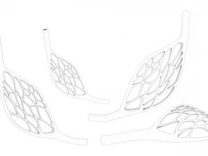 Blood Vessel Anatomy 3D Model