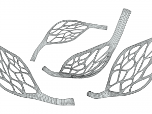 Blood Vessel Anatomy Modèle 3D