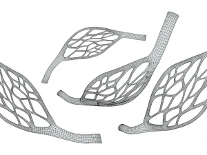 Blood Vessel Anatomy 3D Model