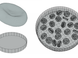 Normal Blood Cells vs Anemia Modelo 3D