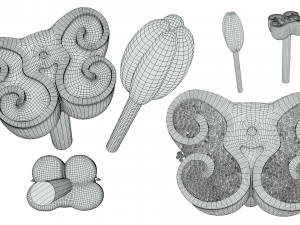 Anther Cross Section Anatomy 3D Модель