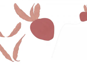 Prostate Anatomy 3D Model