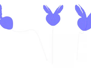 Prostate Anatomy 3D Model