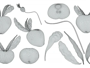 Prostate Anatomy 3D Model