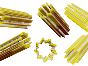 Centriolenstructuur 3D Model