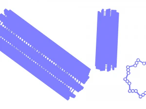 Centriolenstructuur 3D Model