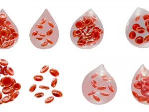 Normal Blood Cells vs Anemia 3D Model