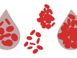 Normal Blood Cells vs Anemia Modèle 3D