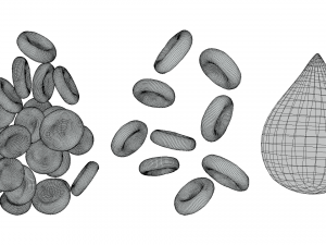 Normal Blood Cells vs Anemia Modèle 3D