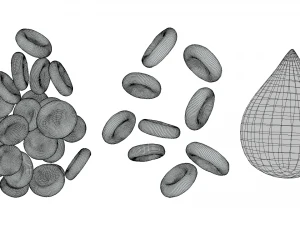 Normal Blood Cells vs Anemia 3D Model