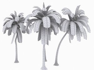 coconut palm 3D 模型