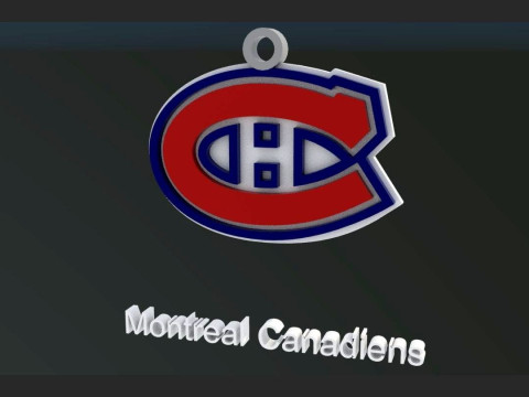 NHL All logo teams Printable and Renderable 3D Print Model