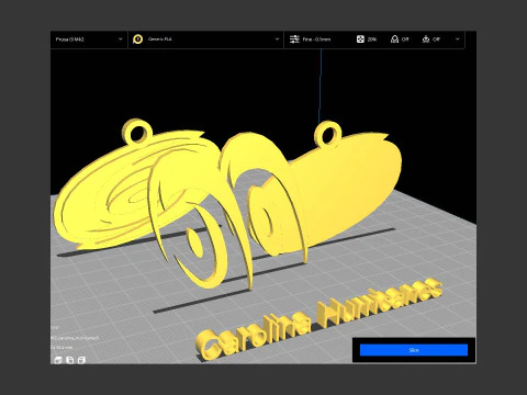 Carolina hurricanes logo shield Printable and Renderable keychan 3D Print Model